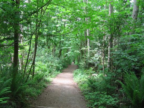 Parque Regional de Pacific Spirit